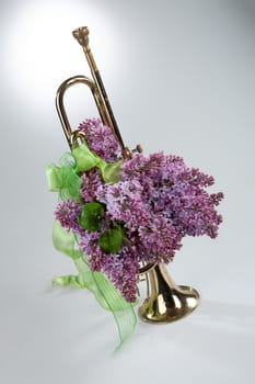 Bouquet with flowers on a studio background