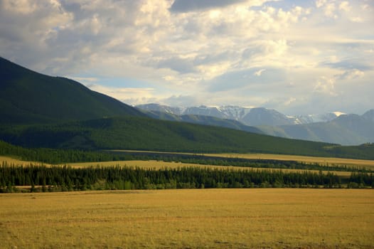 Steppe pasture at the mountain peaks covered with snow. Kurai steppe, Altai, Siberia, Russia.