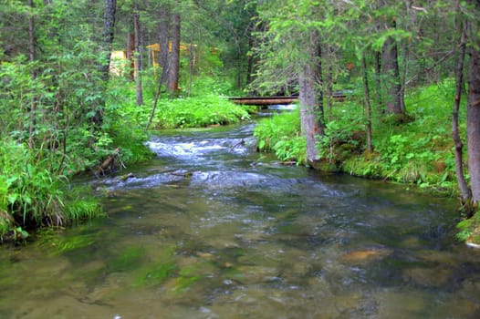 Calm shallow river flowing through a forest. Altai, Siberia, Russia