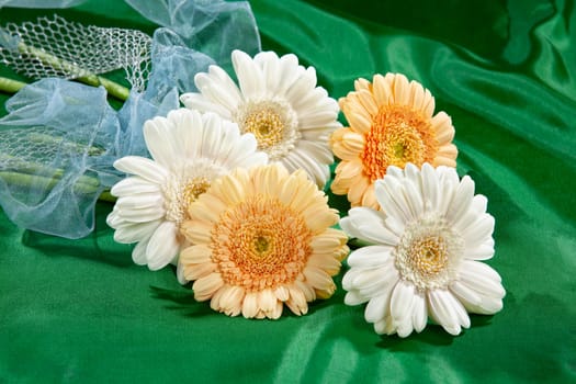Bouquet with flowers on a studio background