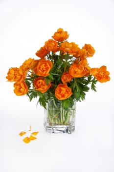 Bouquet with flowers on a studio background