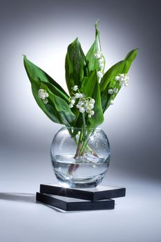 Lily of the valley in the glass vase