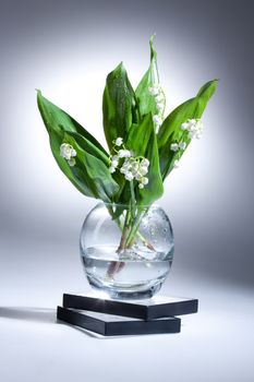 Lily of the valley in the glass vase