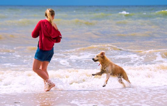 A girl with a dog is playing on the beach