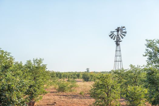 Landscape with a broken windmill. A bird nest is visible on the windmill