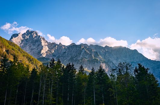 Mountain ridge with forest in front, Kamnisko Savinske Alps, Ojstrica peak, Slovenia, outdoor hiking, tourism destination, view from Logarska valley