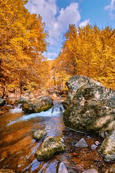 The Devin River Valley in the Western Rhodopes