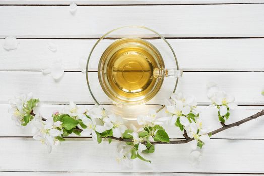 Spring composition of glass transparent cup of green tea and branch of apple-tree flowers on an old wooden shabby background