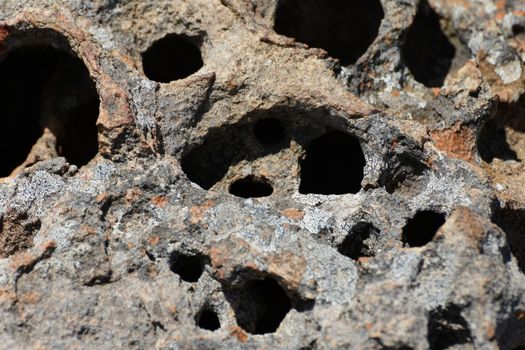 Natural rough porous lichen covered cavity filled rock surface, South Africa