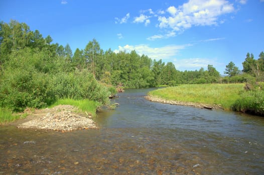 The confluence of two small rivers flowing through a grassy meadow. Altai, Siberia, Russia.