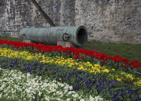 Tulip garden, historical ottoman cannon. Used at the conquest of istanbul