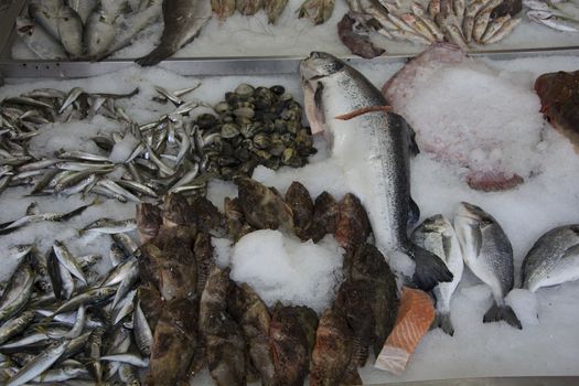 Fresh fish sold in the fish market.