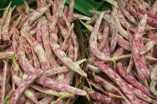 Kidney bean is a variant of bean. In different languages it is also called Borlotti bean or Roman bean paste. It was developed in Italy. It is still used in Italian, Spanish, Turkish and Greek cuisines.