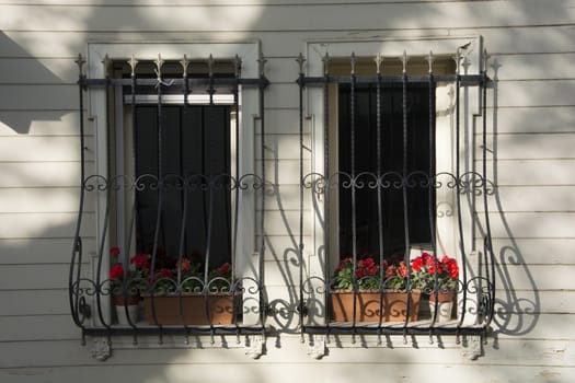 Twin window decorated with flowers.There are window guardrails for safety