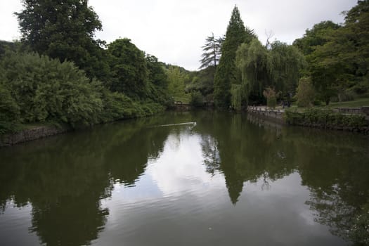 Atatürk arboretum, small lake. One of the few green areas in Istanbul