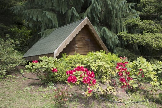 A little cottage hidden in the forest. Between trees and flowers