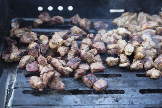 Delicious meat pieces cooked in barbecue. delicious