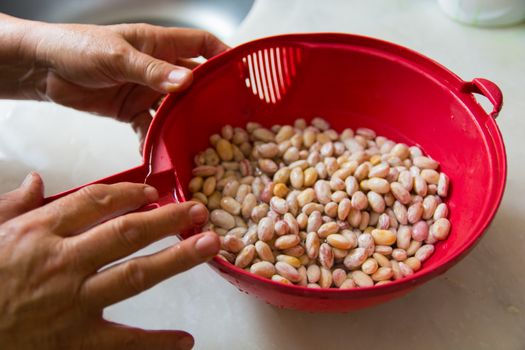 cleaned peas. ready to be cooked. prepared a woman