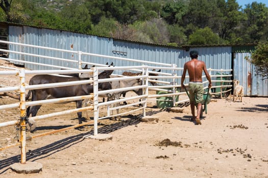 farm worker who also works for your donkey farm