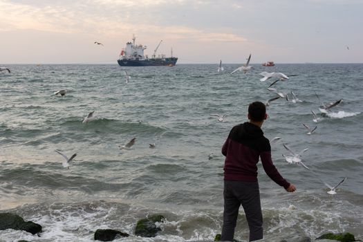 the child is feeding the seagulls on the beach