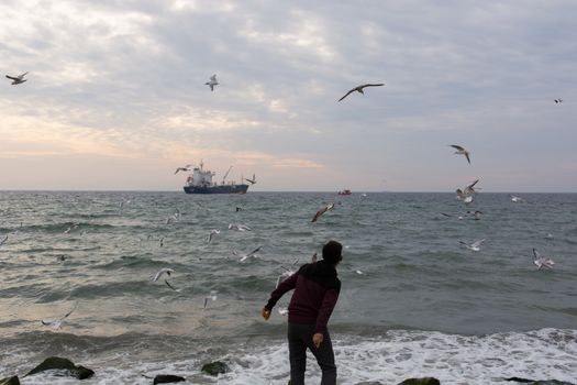 the child is feeding the seagulls on the beach