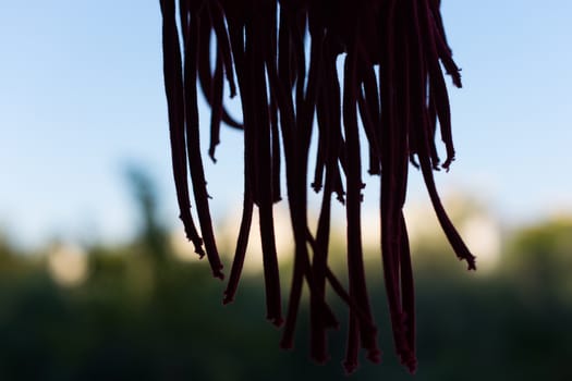 long, short, red garment yarns in various sizes