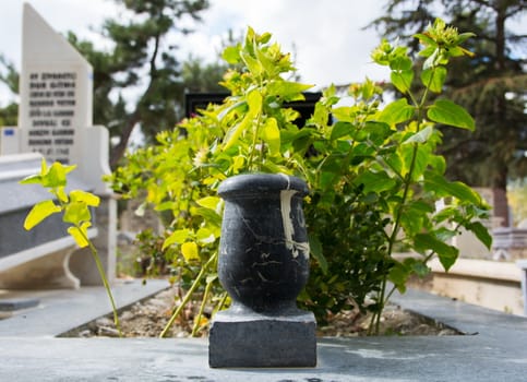 cemetery, marble vase at the beginning. it is empty.