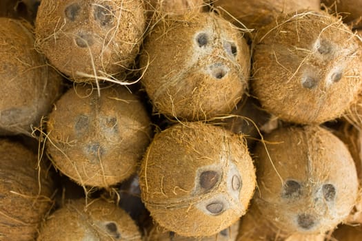 fresh crusted coconut pile.coconut background