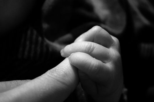 Newborn little hand taking his fathers finger