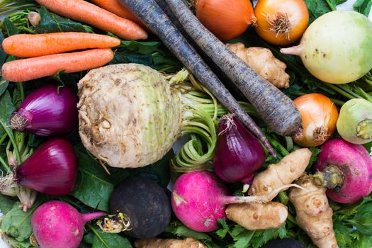 vegetable and fruit framework.harvest.winter and spring. healthy nutrition background of different vegetables on table. Organic food background. isolated white background. Top view. Free space for your text