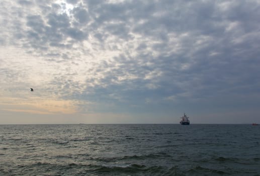 watch the ship and the seagull at sunset. look away