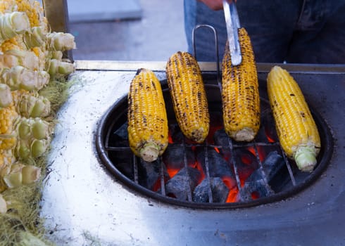 Charcoal grill sweet corns. corn cooked in barbecue barbecued corn on the roaster.