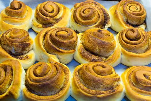 Cinnamon roll dessert. famous european, american breakfast food and dessert