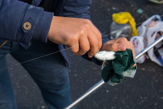 fishing with fishing rod. fisherman caught the Anchovy