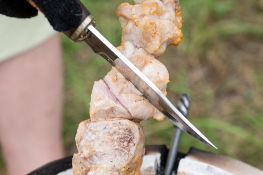 Skewers in the tandoor. Cooking kebab of meat in a tandoor