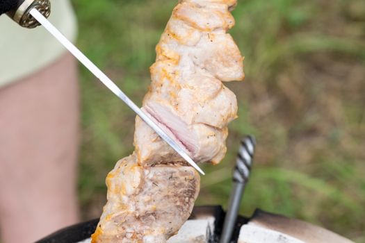 Skewers in the tandoor. Cooking kebab of meat in a tandoor