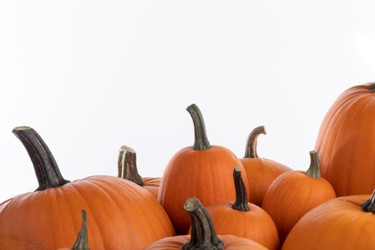 Heap of many orange pumpkins on white background , Halloween concept , copy space for text
