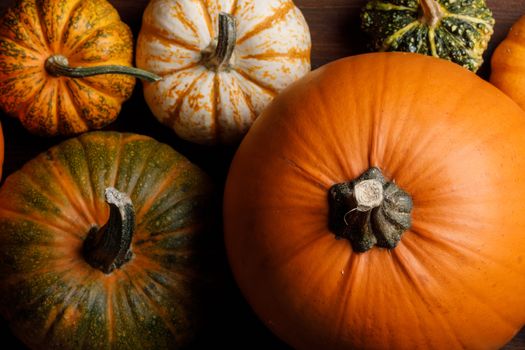 Many orange pumpkins background , Halloween concept