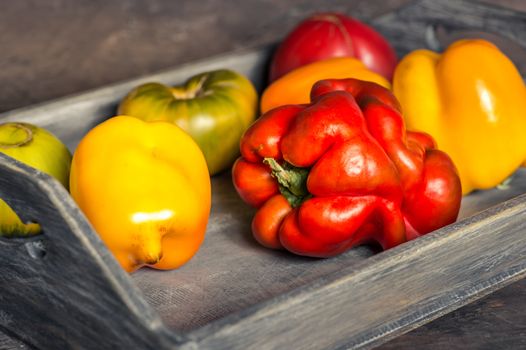 Imperfect natural peppers and tomatoes on an old wooden tray on a dark background. Healthy eating concept