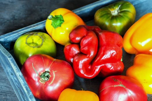 Imperfect natural peppers and tomatoes on an old wooden tray on a dark background. Healthy eating concept