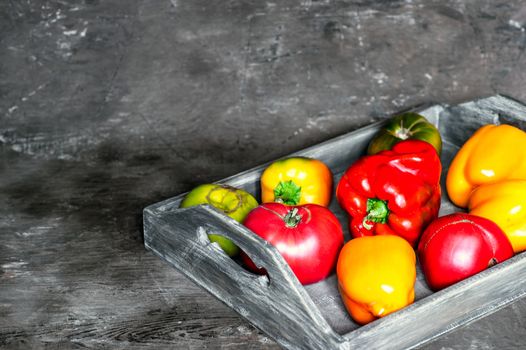 Imperfect natural peppers and tomatoes on an old wooden tray on a dark background. Healthy eating concept. Copy Space.