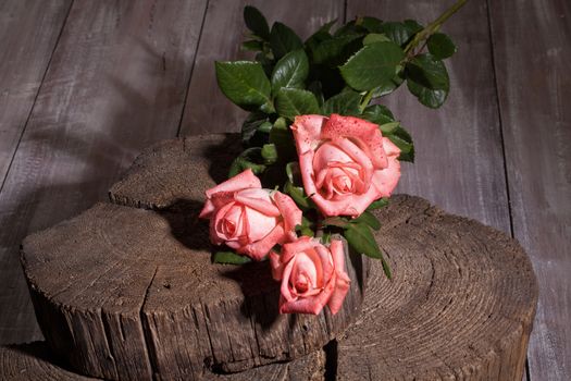 Bouquet of pink roses on an old wooden background