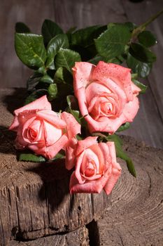 Bouquet of pink roses on an old wooden background