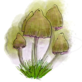 Hallucinogenic mushrooms grow in the forest. Hallucinations after taking psychotropic substances.