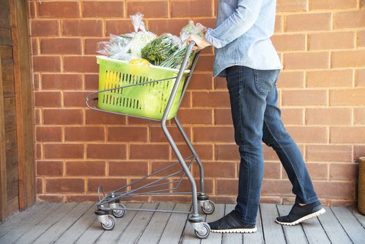 Lady is shopping fresh vegetable in supermarket store - woman in fresh market lifestyle concept