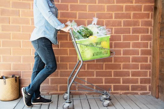 Lady is shopping fresh vegetable in supermarket store - woman in fresh market lifestyle concept