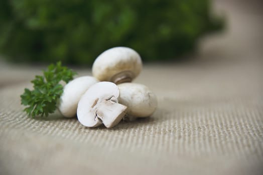 Fresh champignon mushroom vegetable in the kitchen - fresh mushroom vegetable cooking concept