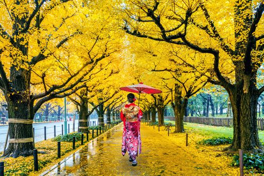 Asian woman wearing japanese traditional kimono at row of yellow ginkgo tree in autumn. Autumn park in Tokyo, Japan.