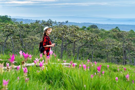 Woman traveler with backpack enjoying at Krachiew flower field, Thailand. Travel concept.