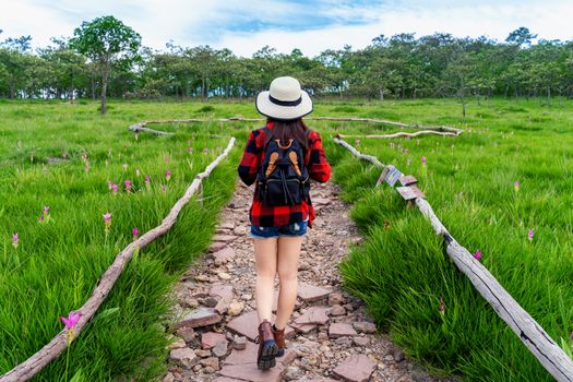 Woman traveler with backpack walking at Krachiew flower field, Thailand. Travel concept.